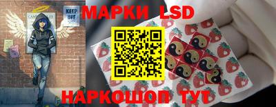 spice Пенза