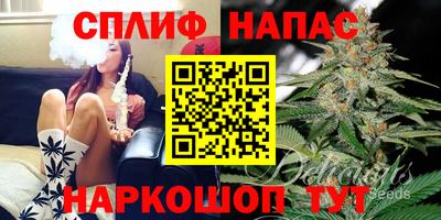 spice Пенза