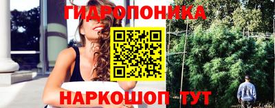 spice Пенза
