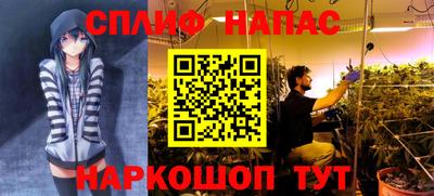 стафф Партизанск