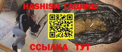 стафф Партизанск